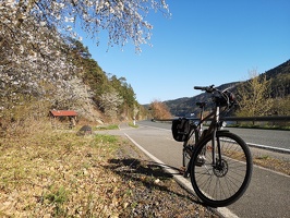 Straße mit Radweg am Ausgleichbecken Eichicht